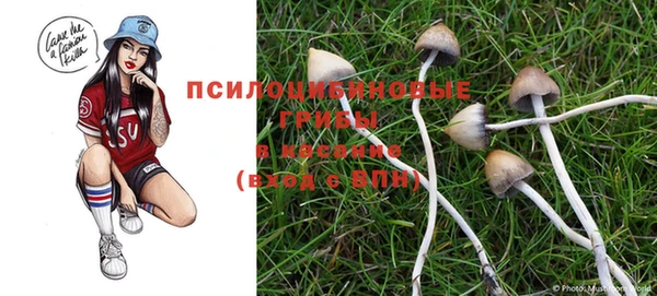 mdpv Алзамай
