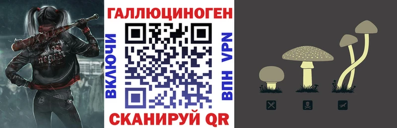 Псилоцибиновые грибы Psilocybe Староминская
